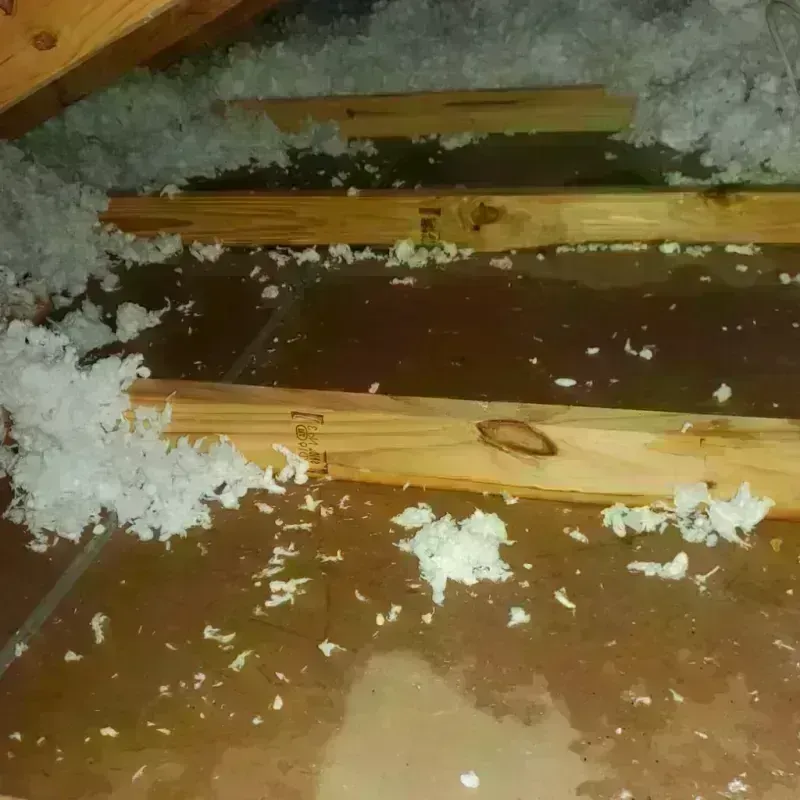 Attic Water Damage in Cherryville, NC